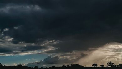 Rio Grande do Sul terá chuva intensa e ventos de até 100 km/h