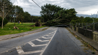 SP: ventania pode atingir 50 km/h no fim de semana