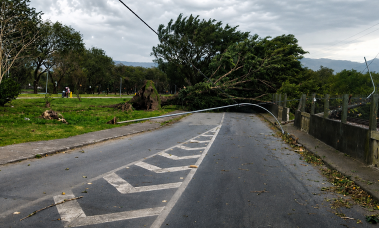 SP: ventania pode atingir 50 km/h no fim de semana