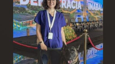 Morre veterinária atacada por cachorro no canil do Senado Federal
