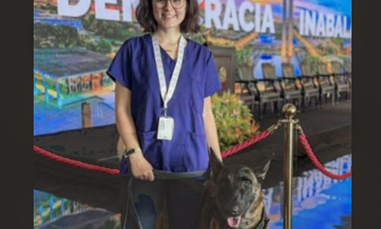 Morre veterinária atacada por cachorro no canil do Senado Federal