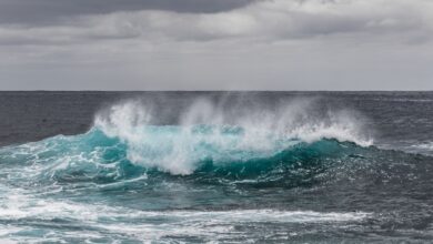 Agência climática prevê El Niño 90% mais forte no fim do ano