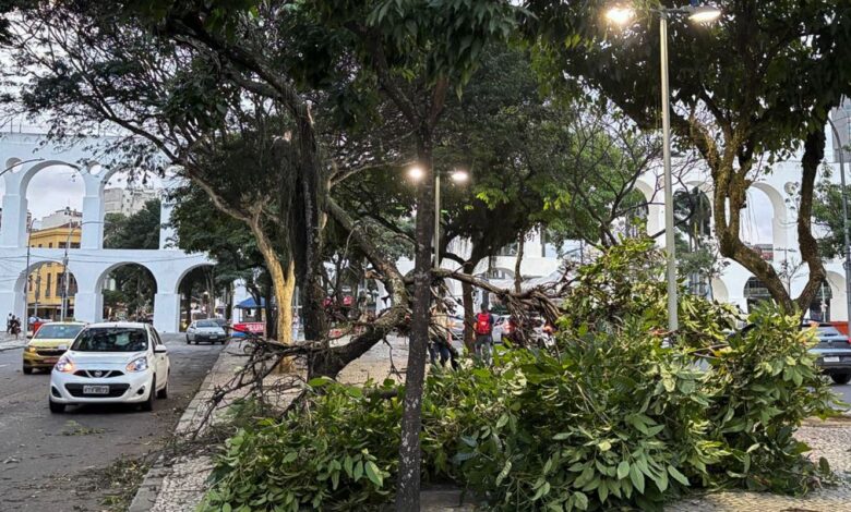Ventania: moradores do Rio acordam sob alerta; saiba o que fazer