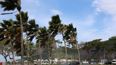 Defesa Civil alerta para ventos fortes na cidade do Rio