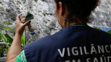 São Paulo tem mais de 58 mil casos de dengue desde o início do ano