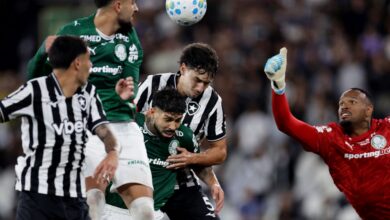 Botafogo segura Palmeiras e ajuda Flamengo, novo líder do Brasileirão