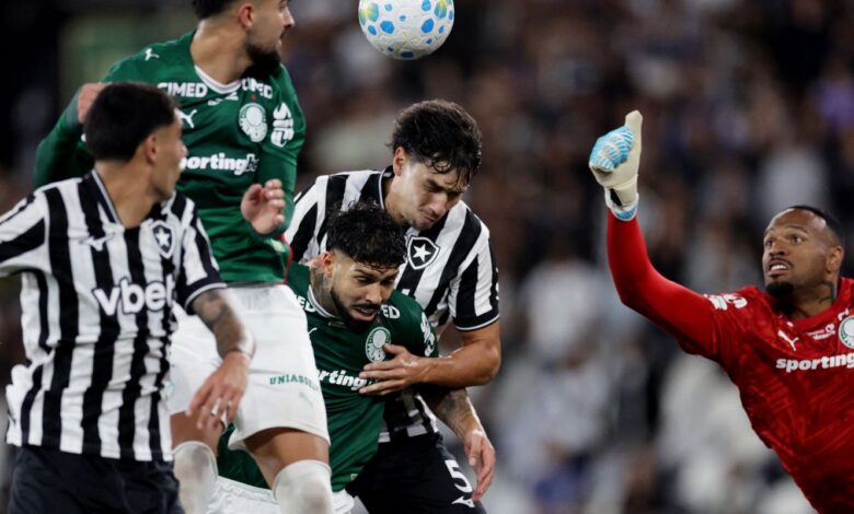 Botafogo segura Palmeiras e ajuda Flamengo, novo líder do Brasileirão