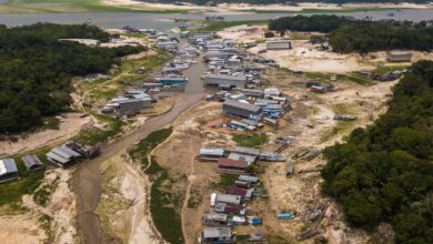 Seca na Amazônia atingiu 38% das áreas habitadas no último El Niño