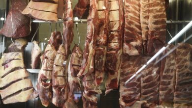 Cota chinesa faz exportação de carne bovina recuar 27,1% em agosto