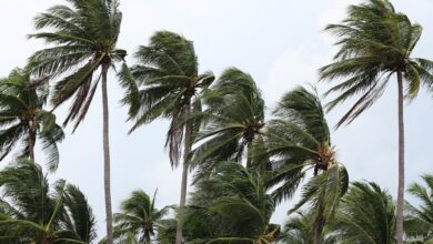 Defesa Civil do Rio emite novo alerta para chuvas e ventanias