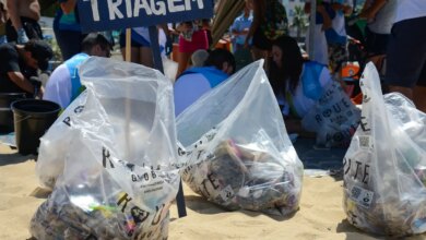Praias de cinco estados vão receber mutirões de limpeza, em setembro