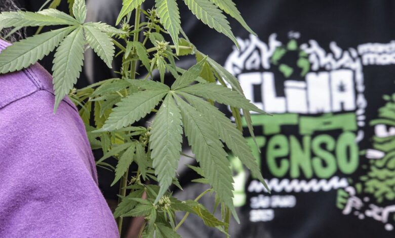 Flagrante por drogas gera mais prisão preventiva do que outros crimes