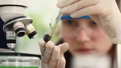 Prêmio para mulheres e meninas cientistas abre inscrições até outubro