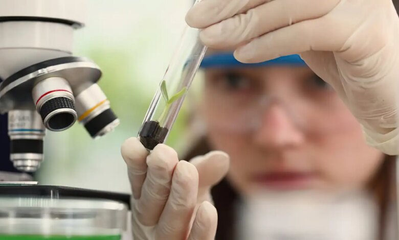Prêmio para mulheres e meninas cientistas abre inscrições até outubro