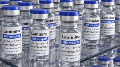 Testes clínicos fase 1 da polilaminina começam este mês