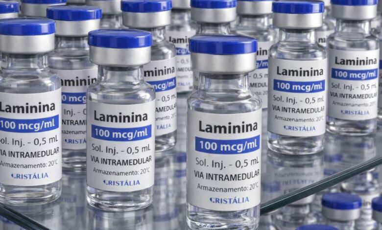 Testes clínicos fase 1 da polilaminina começam este mês