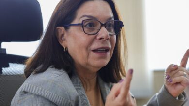 Denise Pires de Carvalho será vice-presidente de ciências da Unesco