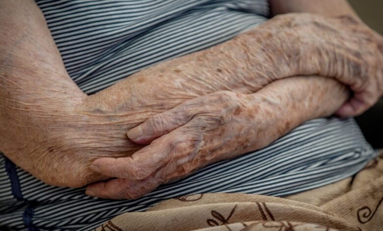 Número de lares com idosos em insegurança alimentar cai em dois anos