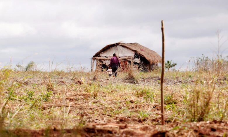 Cai número de assassinatos no campo, mas aumenta o de conflitos