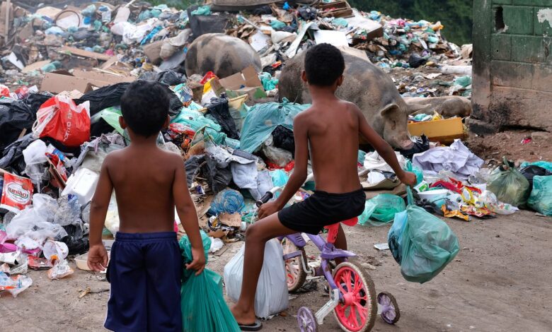 Senado aprova direito prioritário da criança a meio ambiente saudável
