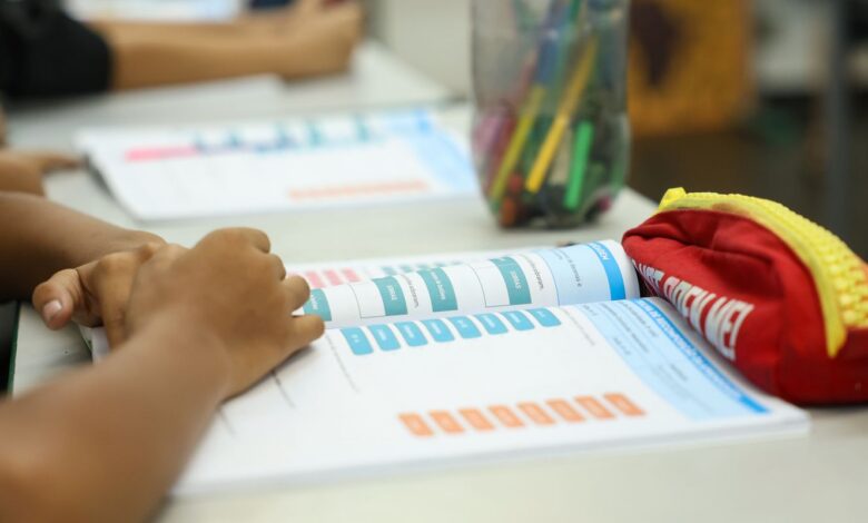 Censo Escolar 2026: dados da 1ª etapa podem ser conferidos até dia 11