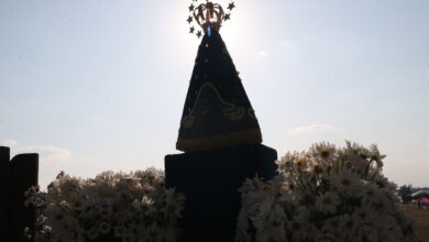 Dino manda PF investigar disseminação de ataques a imagens católicas 