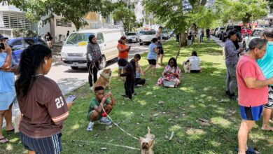 Forte terremoto sacode o Panamá; operações do canal seguem normalmente