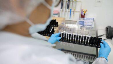 Malária: Anvisa autoriza teste em humanos de vacina 100% brasileira