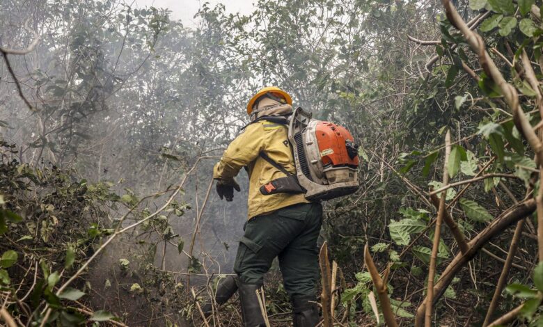 Amazonas tem 540 focos de incêndio nas últimas 48 horas