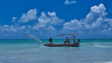 Revisão de regras para pesca amadora está em consulta pública