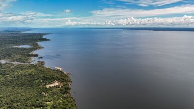 Veja os planos de governo de Flávio e Lula para meio ambiente e clima