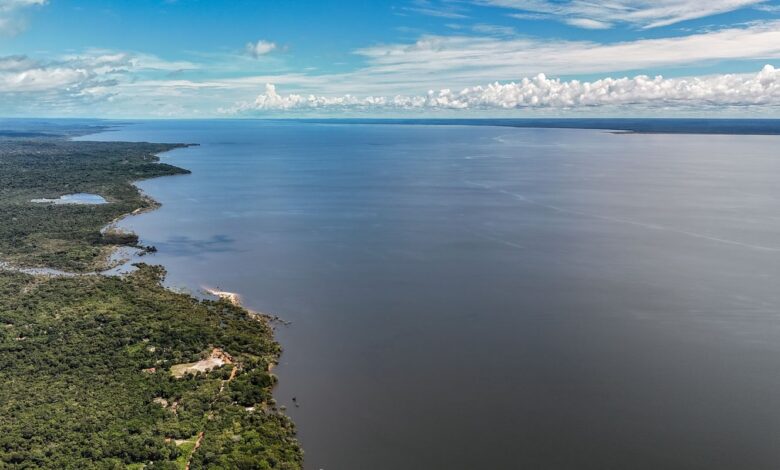 Veja os planos de governo de Flávio e Lula para meio ambiente e clima