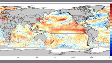 Painel indica que El Ninõ pode ser um dos mais intensos desde 1950