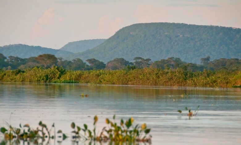 Cerrado já perdeu 13,9 milhões de hectares de margens de rios verdes