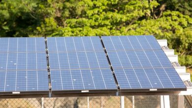 5º leilão do Eco Invest atrai quase R$ 50 bi para investimentos verdes