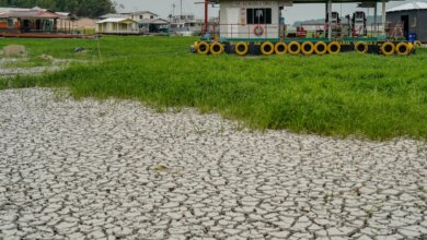 Campanha arrecada alimentos para afetados por seca no Amazonas