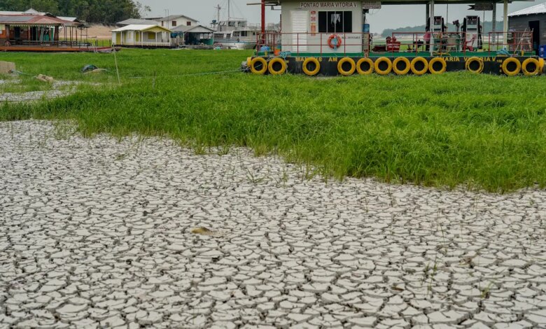Campanha arrecada alimentos para afetados por seca no Amazonas