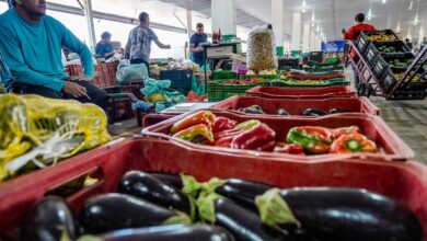Campanha busca engajamento para reduzir desperdício de alimento