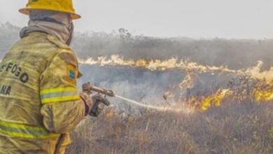 Governo investiga se há organização por trás dos incêndios no Amazonas