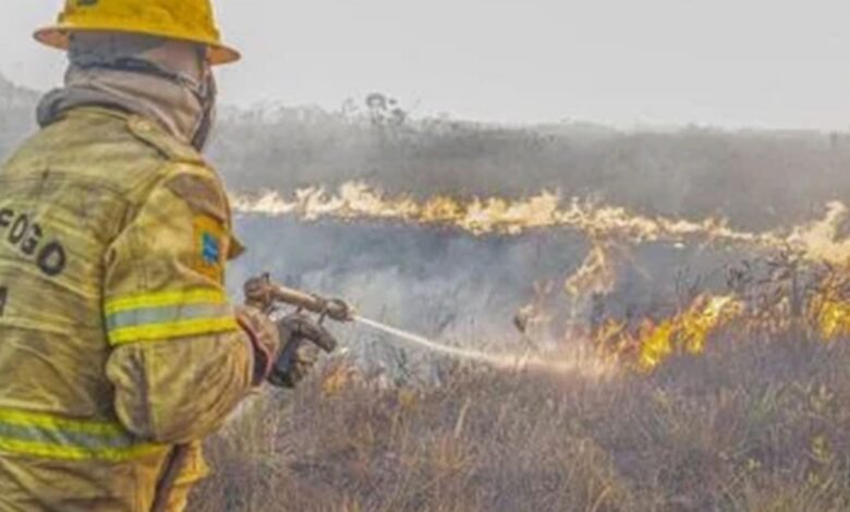 Governo investiga se há organização por trás dos incêndios no Amazonas