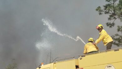 Bombeiros controlam incêndio em área de mata na UnB