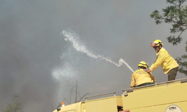 Bombeiros controlam incêndio em área de mata na UnB